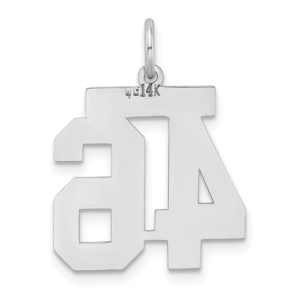 14k White Gold Medium Satin Number 46 Charm
