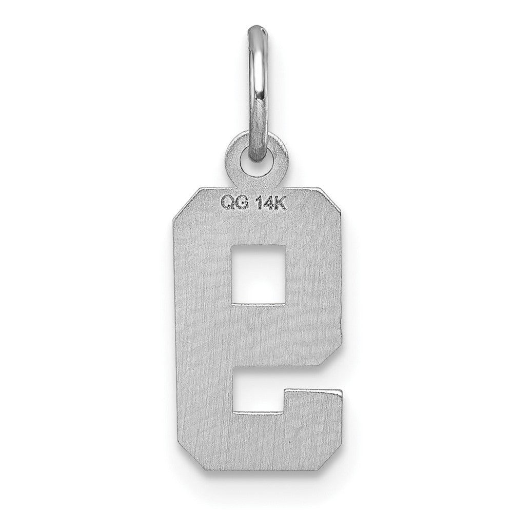 14k White Gold Small Brushed Diamond-cut Number 9 Charm