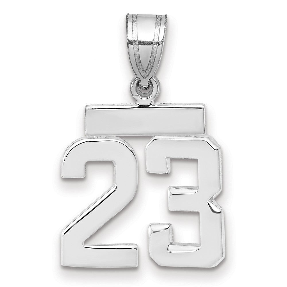 14kw Small Polished Number 23 Charm