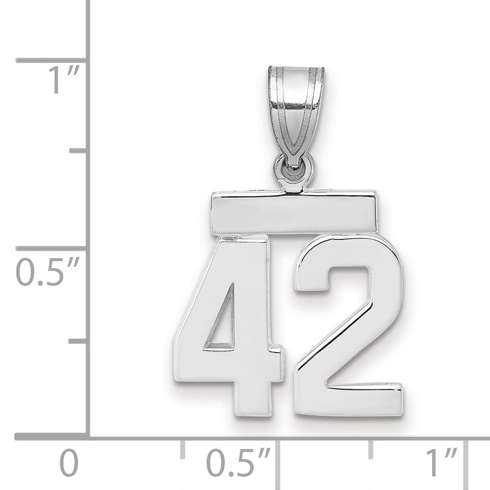 14kw Small Polished Number 42 Charm