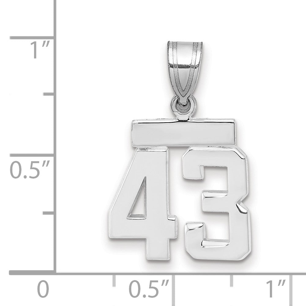 14kw Small Polished Number 43 Charm