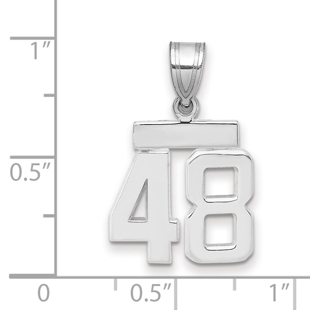 14kw Small Polished Number 48 Charm