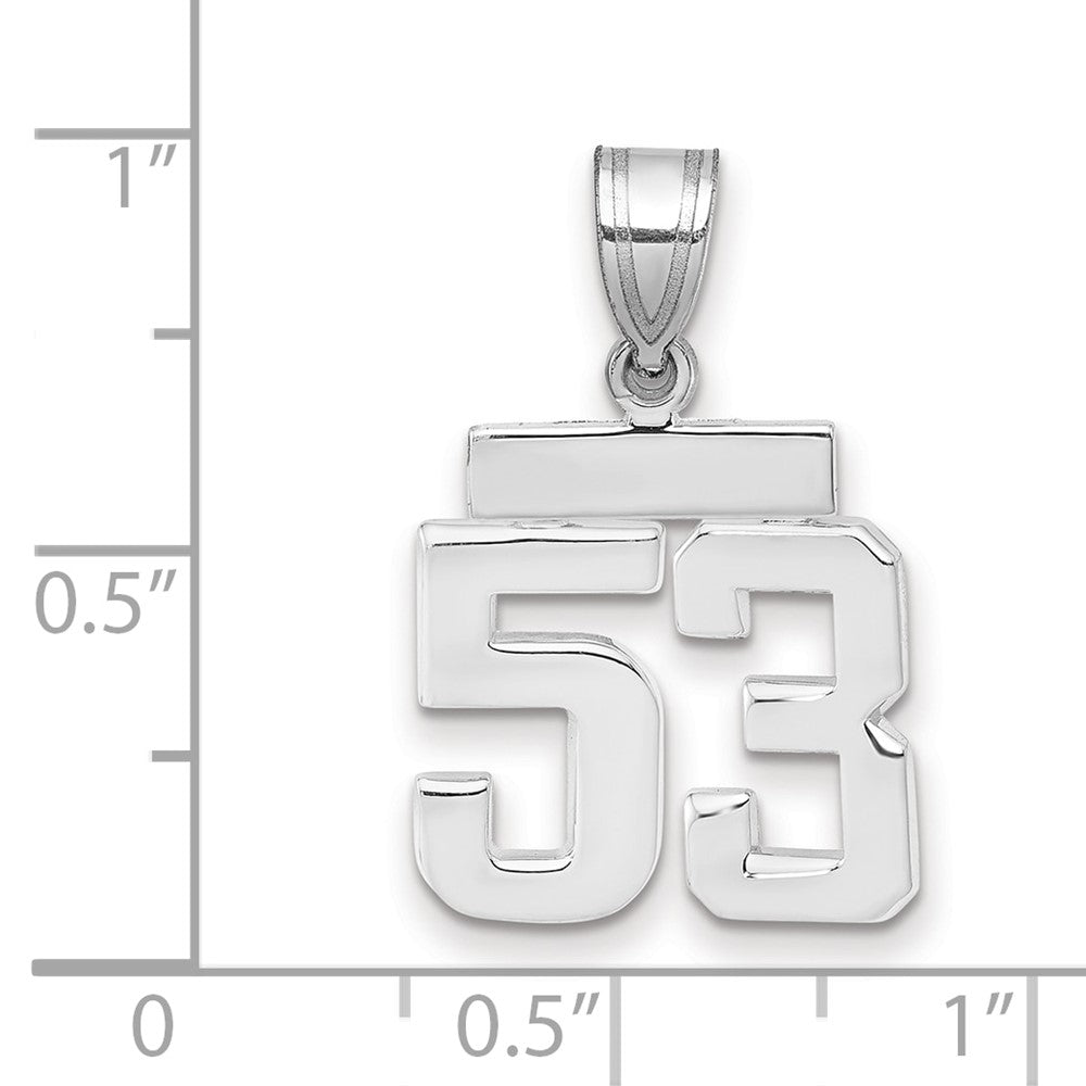 14kw Small Polished Number 53 Charm