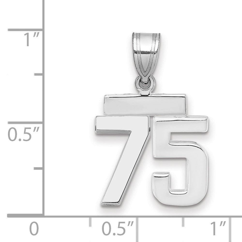 14kw Small Polished Number 75 Charm