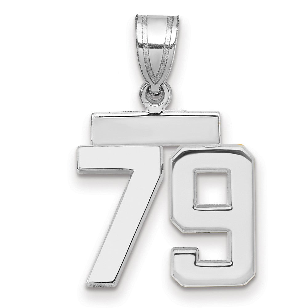 14k White Gold Small Polished Number 79 Charm
