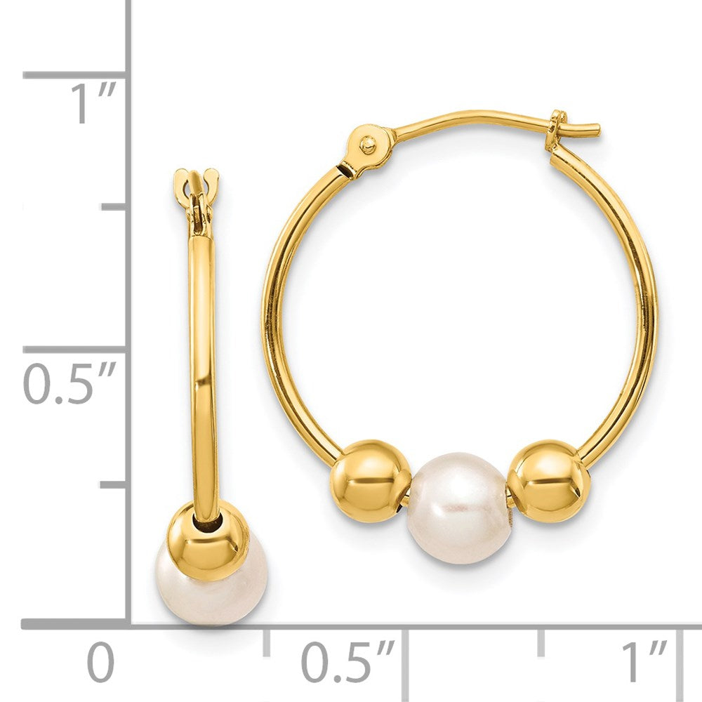 14K Yellow Gold 5-6mm White Semi-round Freshwater Cultured Pearl Polished Hoop Earring