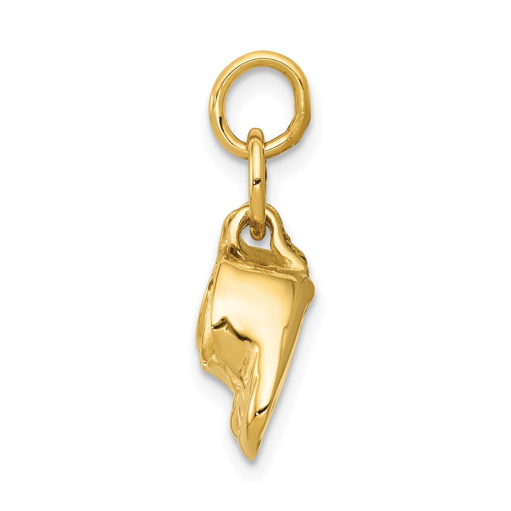 10k Polished Shoes Charm