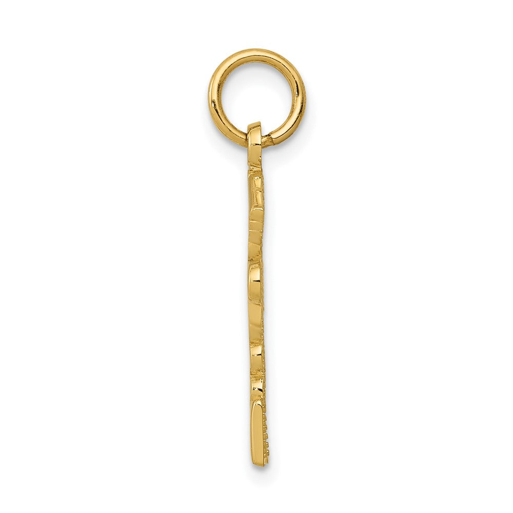 10k Registered Nurse Practitioner Charm