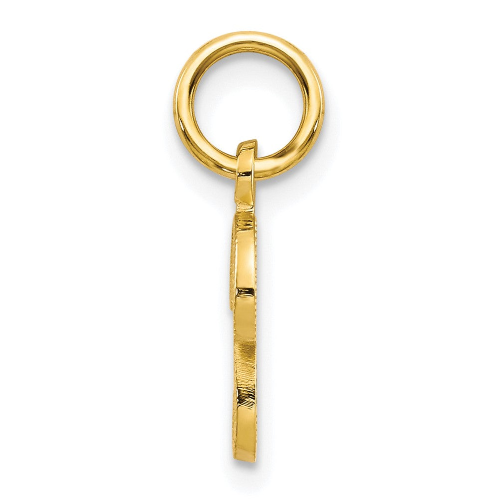 10k Initial P Charm