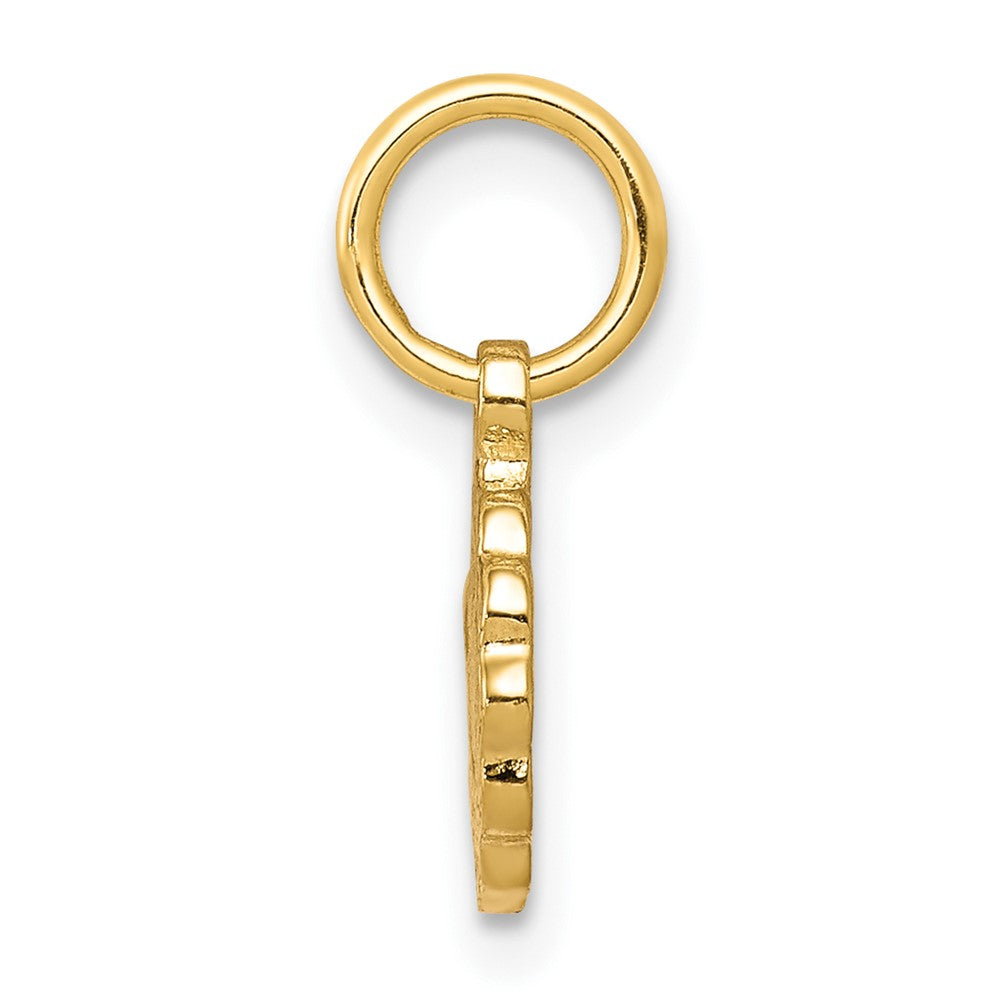 10k Solid Satin Polished Our of Sorrows Disc Pendant
