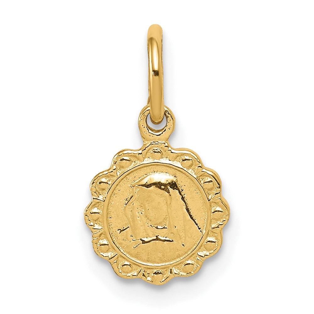 10k Solid Satin Polished Our of Sorrows Disc Pendant