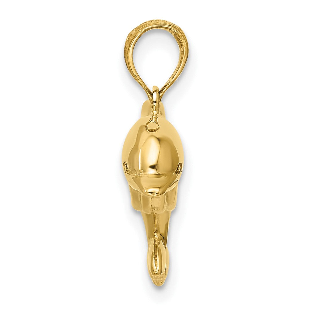 10k Dolphin Pendant
