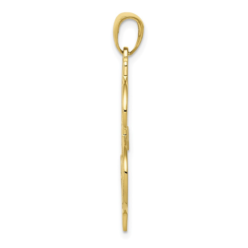 10k Gold Polished and Textured Dollar Sign Pendant