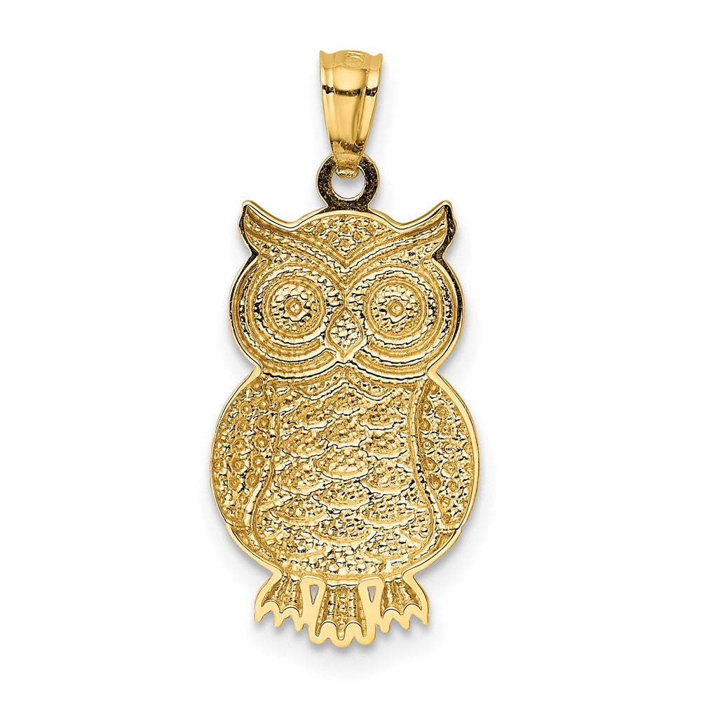 10K & Rhodium Polished & Textured Owl Pendant