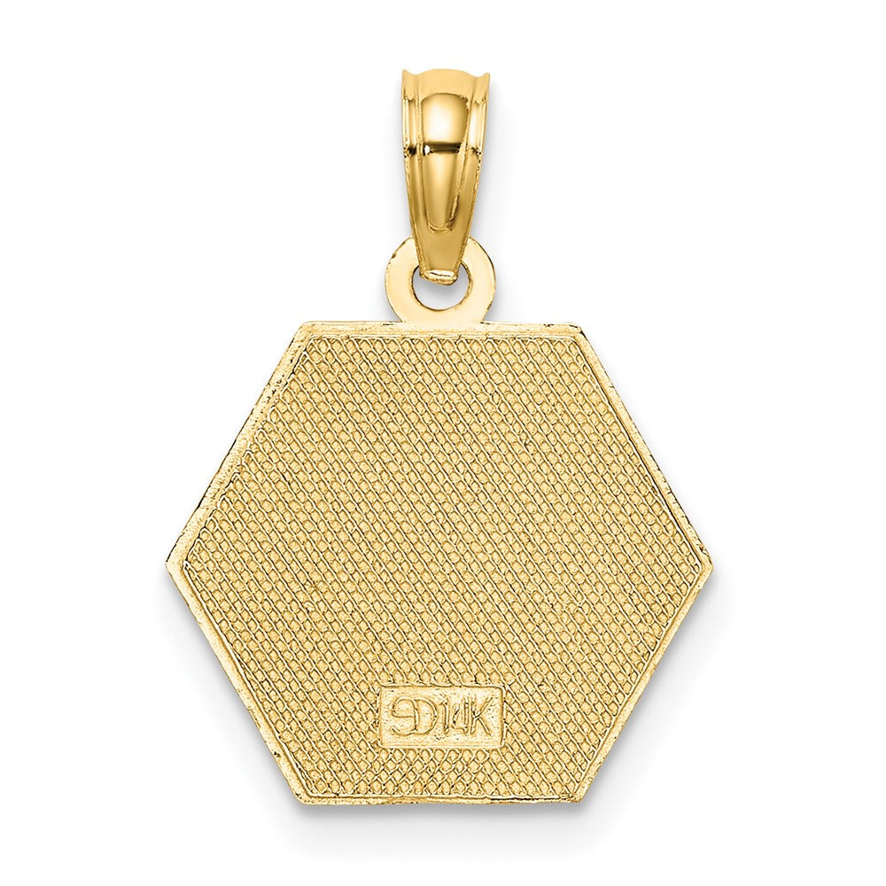10k Medical Disc Pendant