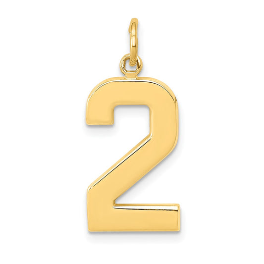 10k Large Polished Number 2 Charm