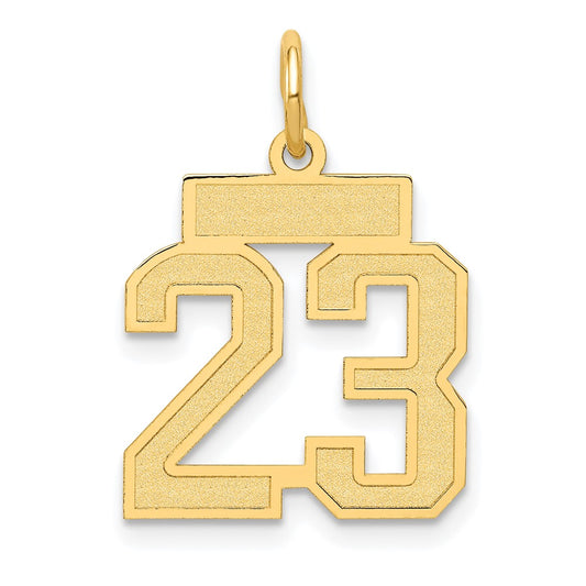 10k Small Satin Number 23 Charm