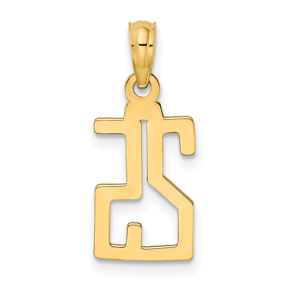 10K Number 25 Pendant