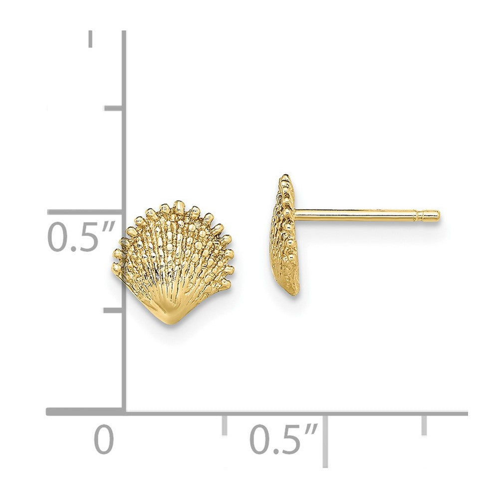 10K Scallop Shell Post Earrings