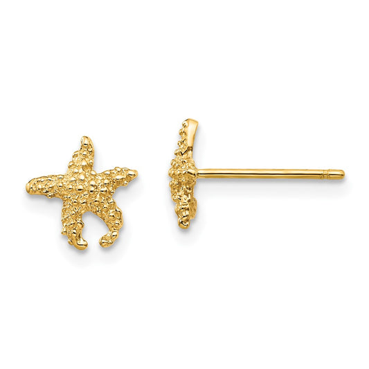 10K Polished Textured Starfish Post Earrings