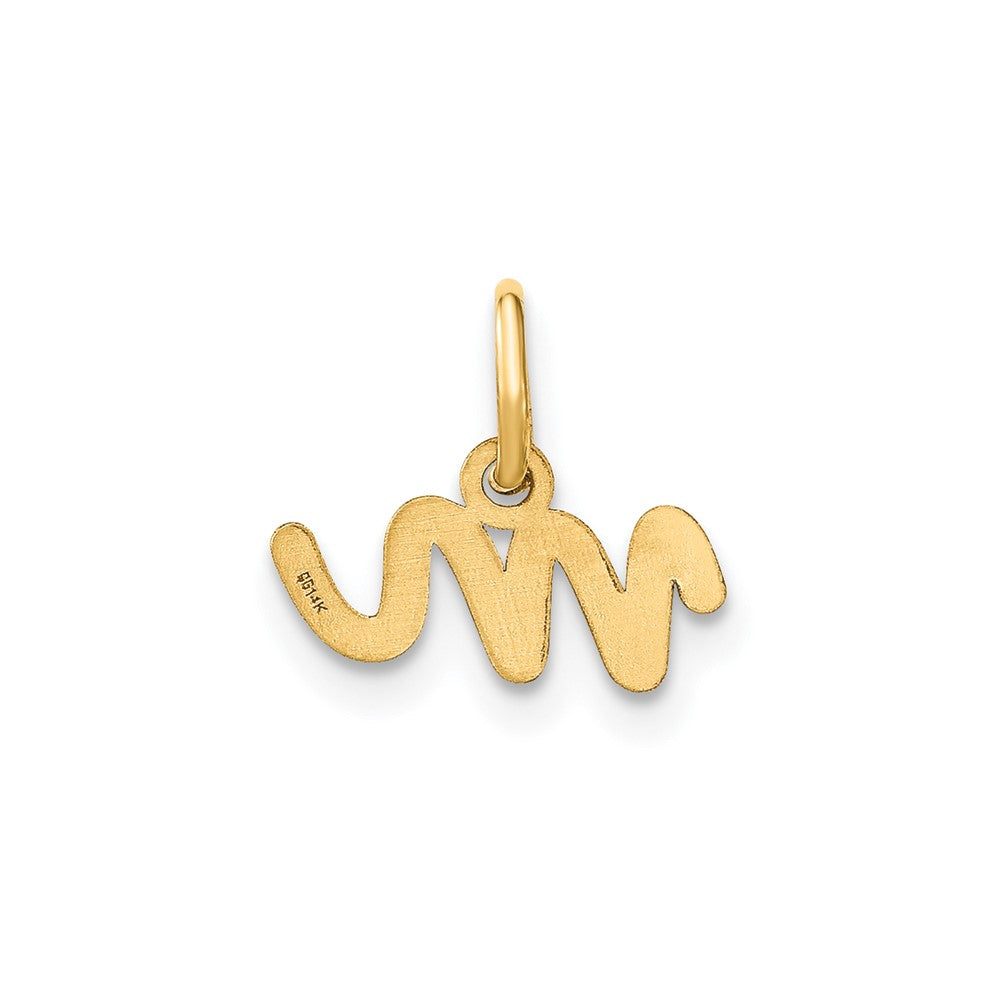 10KY Lower case Letter M Initial Charm