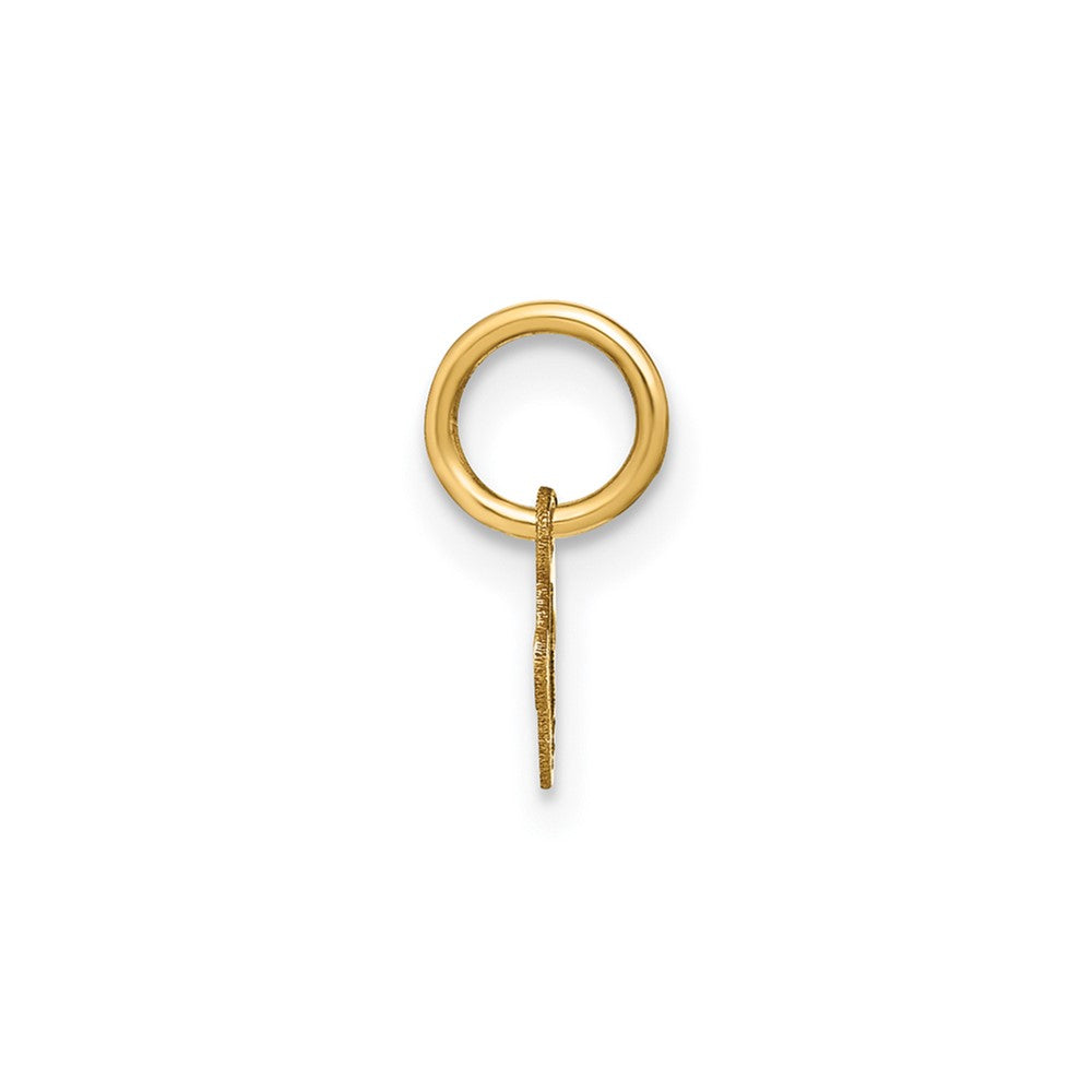 10KY Lower case Letter V Initial Charm