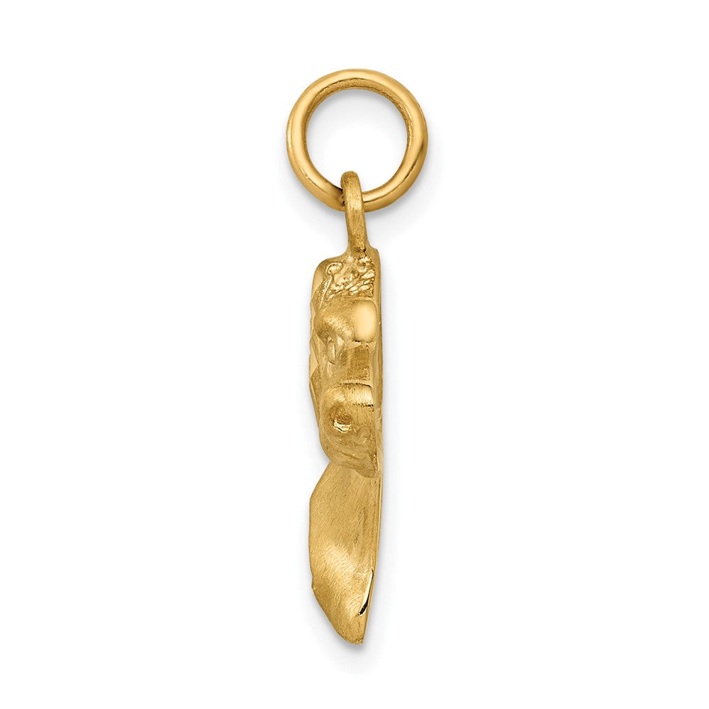 10ky Dog Charm