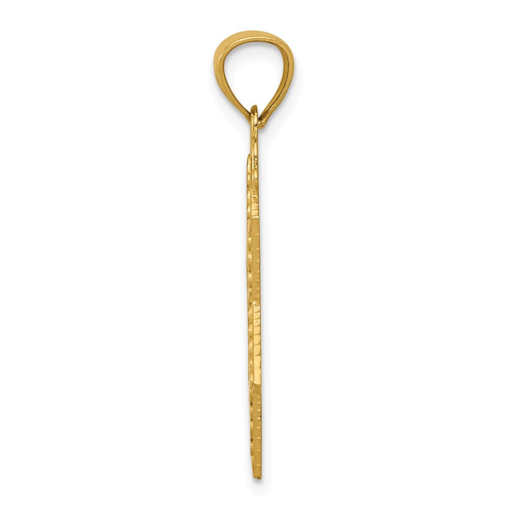 14k Diamond-cut Star of David Pendant