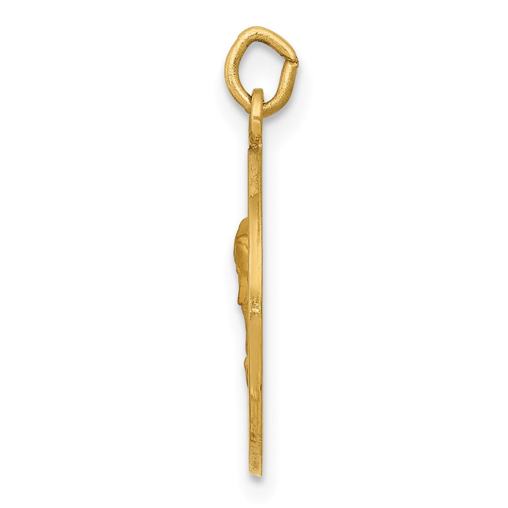 14k Our of Sorrows Medal Charm