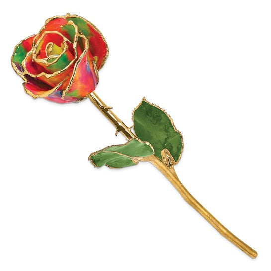 Lacquer Dipped Gold Trimmed Aurora Neon Rainbow Real Rose