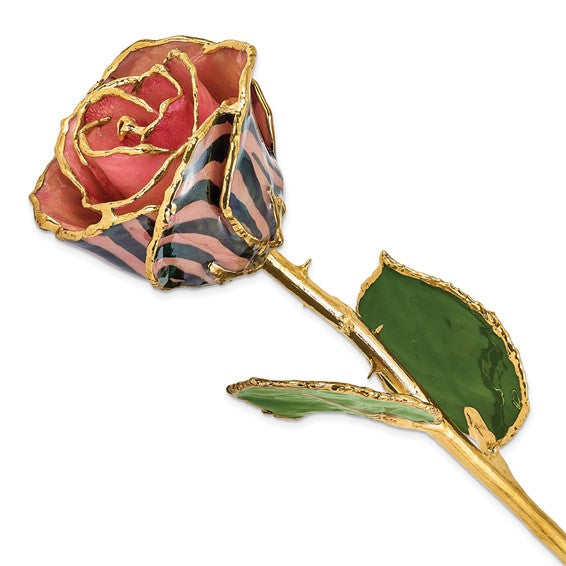 Lacquer Dipped Gold Trimmed Pink and Black Chameleon Real Rose