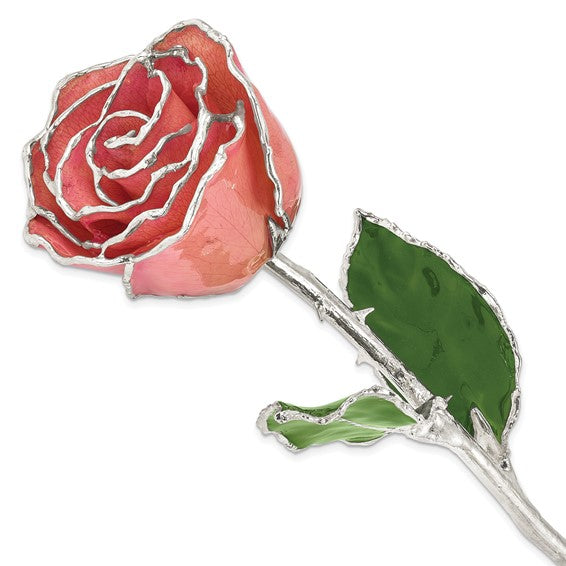 Pink Lacquer Dipped Silver Trimmed Real Rose