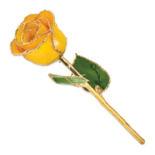 Lacquer Dipped Gold Trimmed Saffron Real Rose