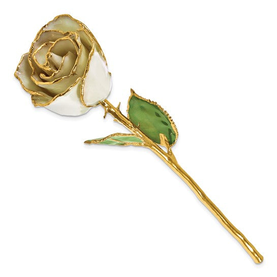 Lacquer Dipped Gold Trim June Birthstone Opal Pearl Rose
