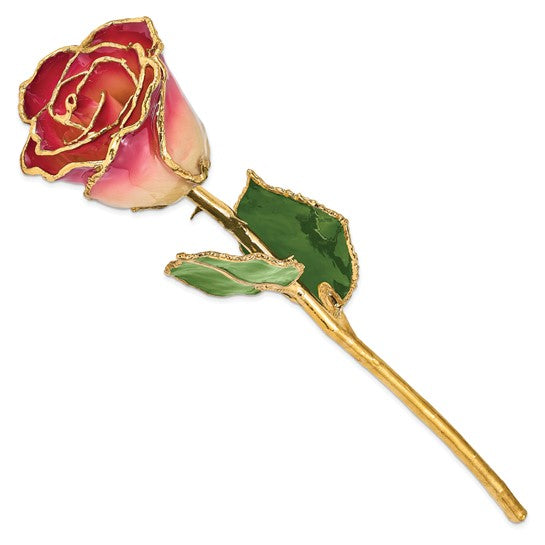 Lacquer Dipped Gold Trimmed White and Burgundy Real Rose
