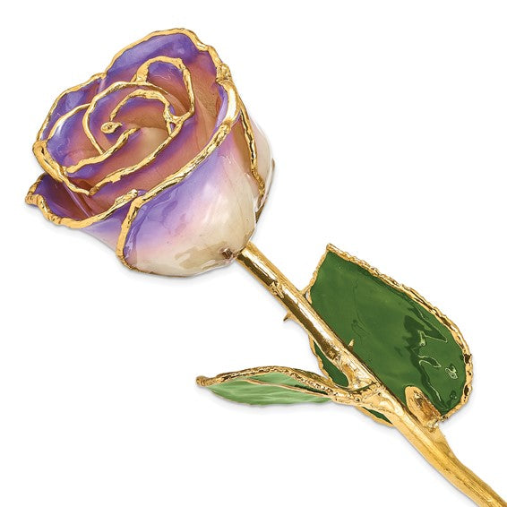 Lacquer Dipped Gold Trimmed White and Blue Opal Real Rose