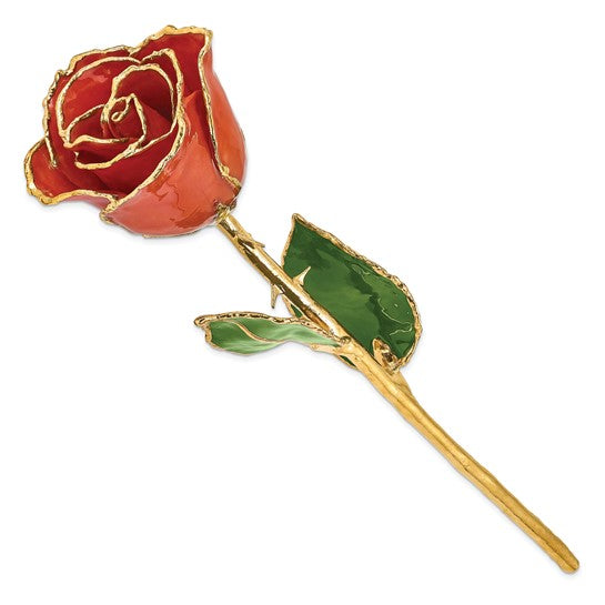 Lacquer Dipped Gold Trimmed Sonia Pearl Real Rose