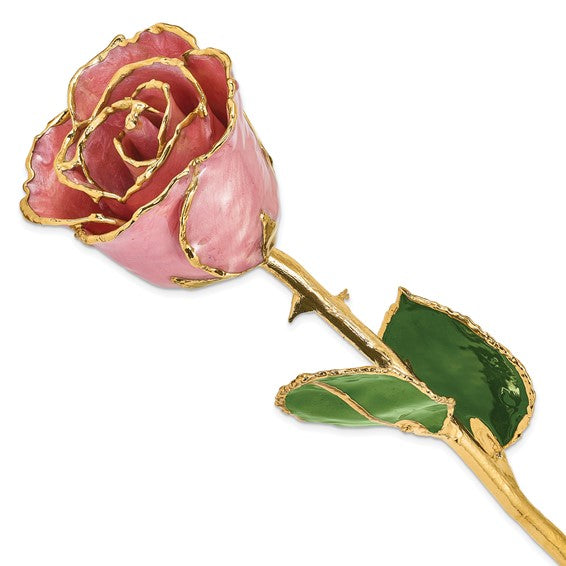 Lacquer Dipped Gold Trimmed Dusty Pink Real Rose