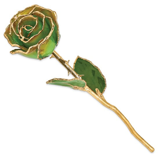 Lacquer Dipped Gold Trimmedmed Peridot/Orange Real Rose