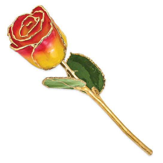 Lacquer Dipped Gold Trimmed Yellowith Red Real Rose