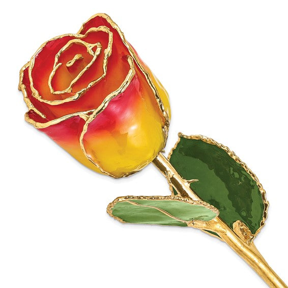 Lacquer Dipped Gold Trimmed Yellowith Red Real Rose