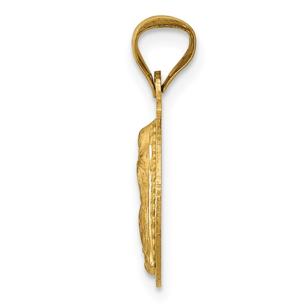 14K w/Rhodium Polished D/C Of Guadalupe Circle Pendant
