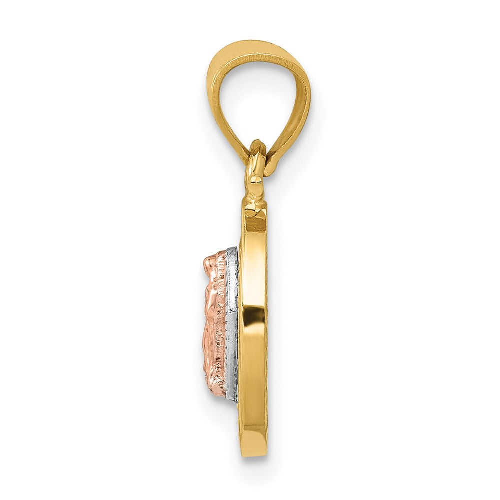 14K Two-Tone w/White Rhodium D/C CZ Guadalupe Pendant