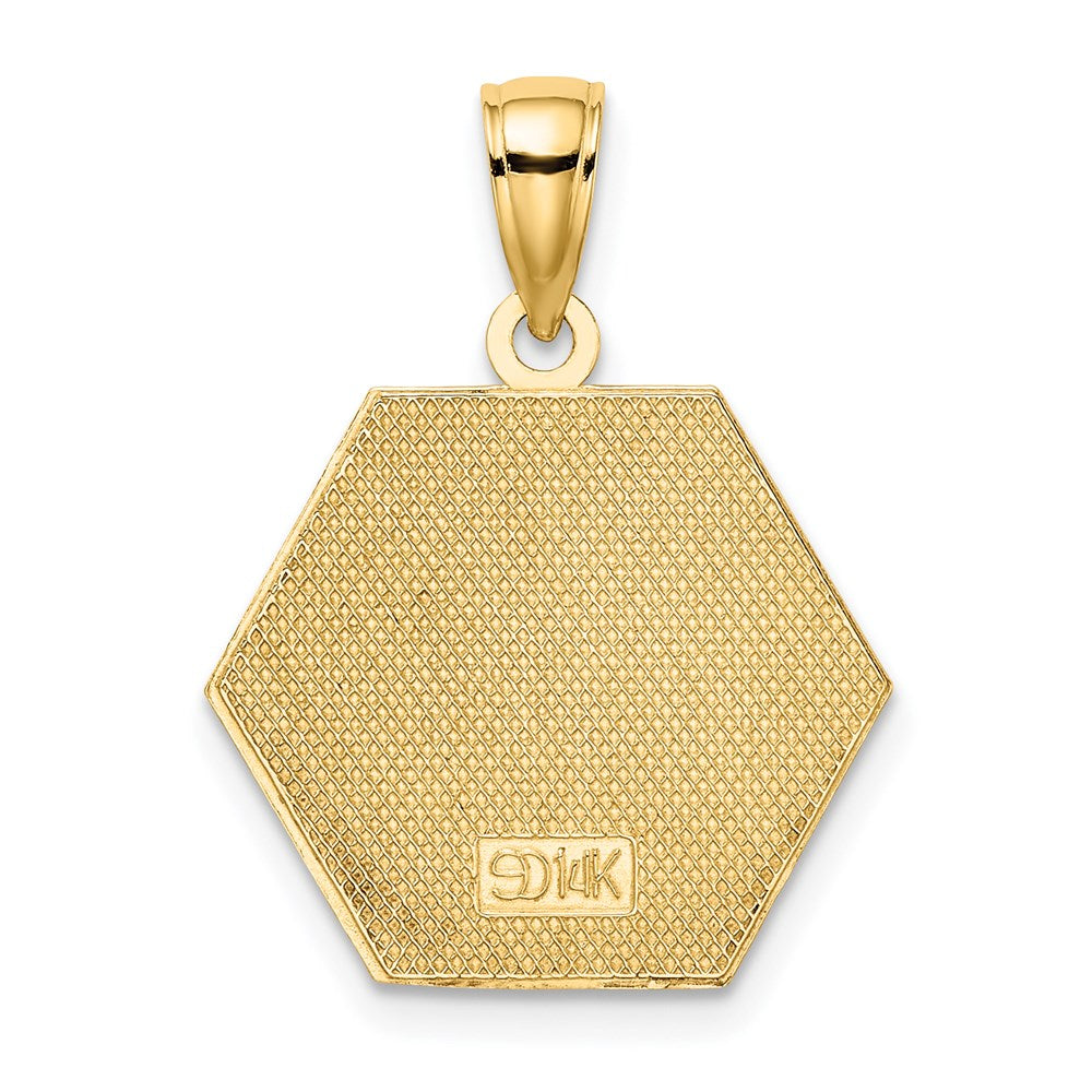 14K Enameled Textured Back Caduceus Medical Disc
