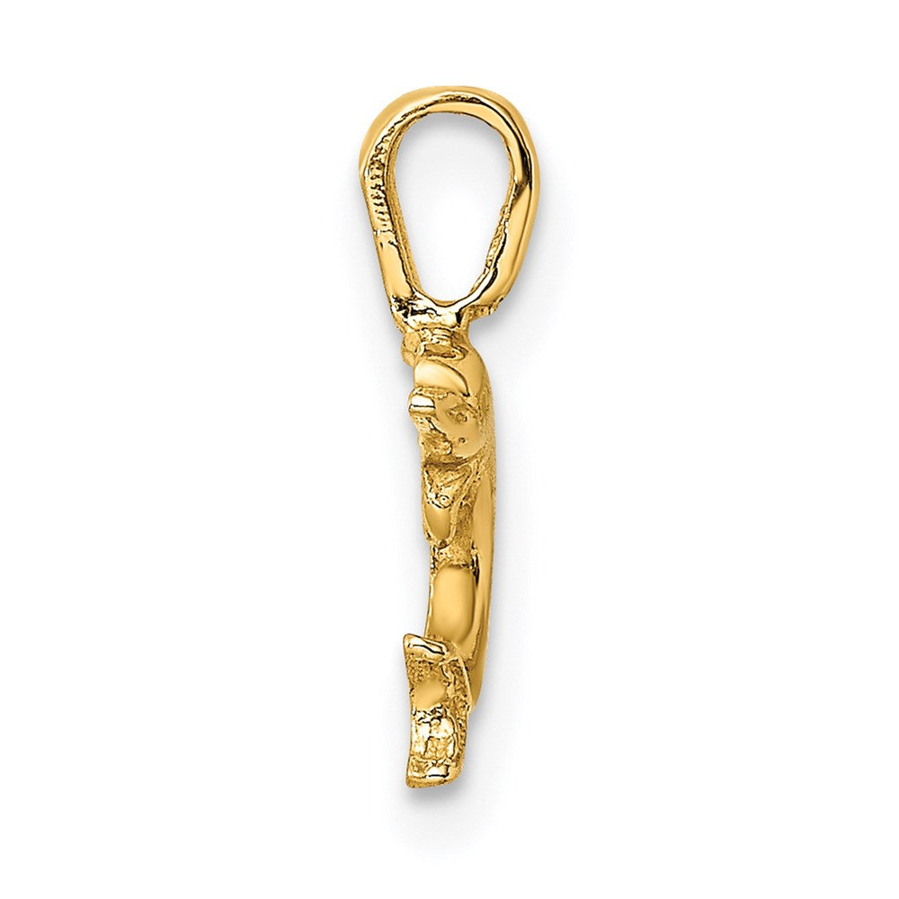 14K Mini Jumping Dolphin with Fixed Bail Charm