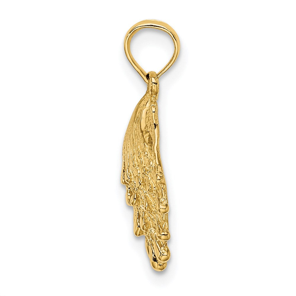 14K Lion's Paw Shell Charm
