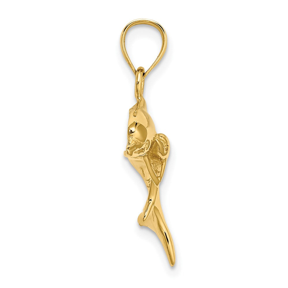 14K Polished Dolphin  and Charm