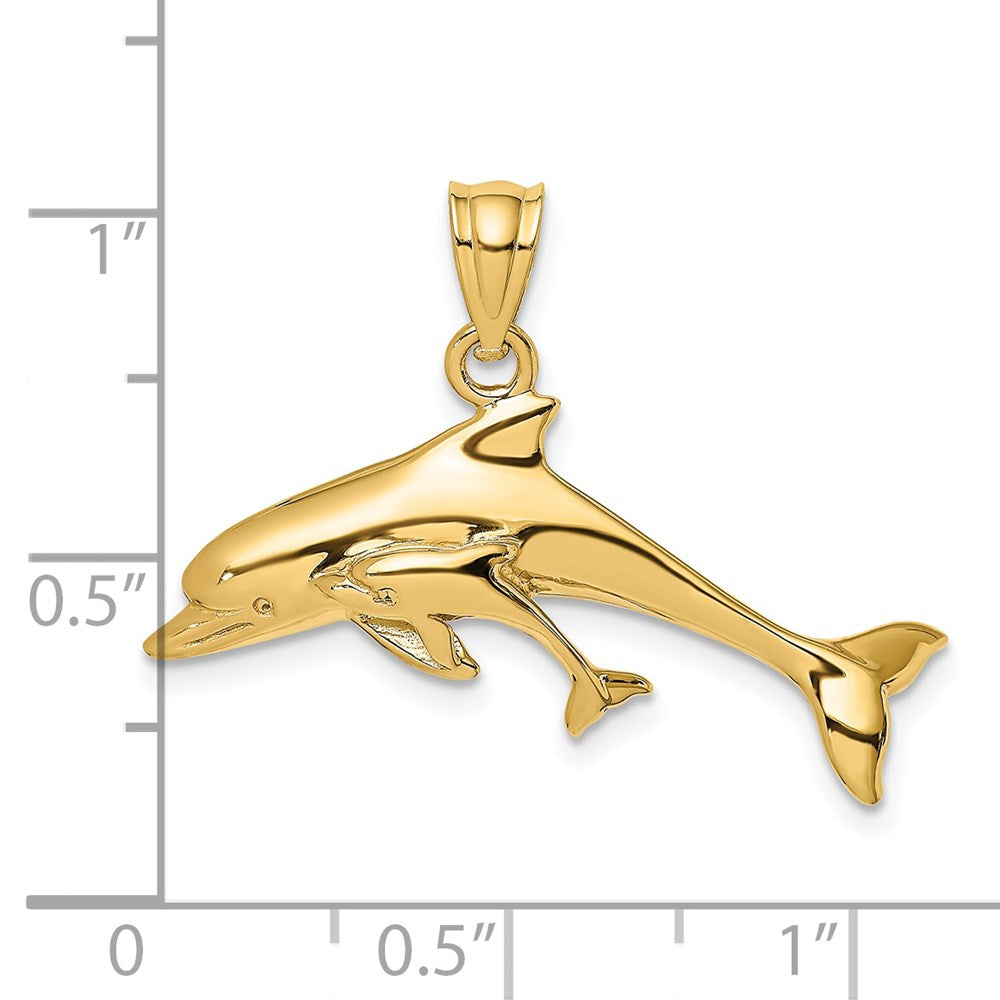 14K Polished Dolphin  and Charm