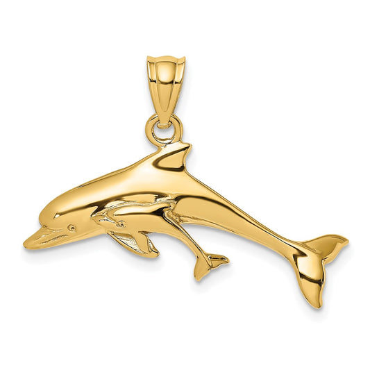 14K Polished Dolphin  and Charm