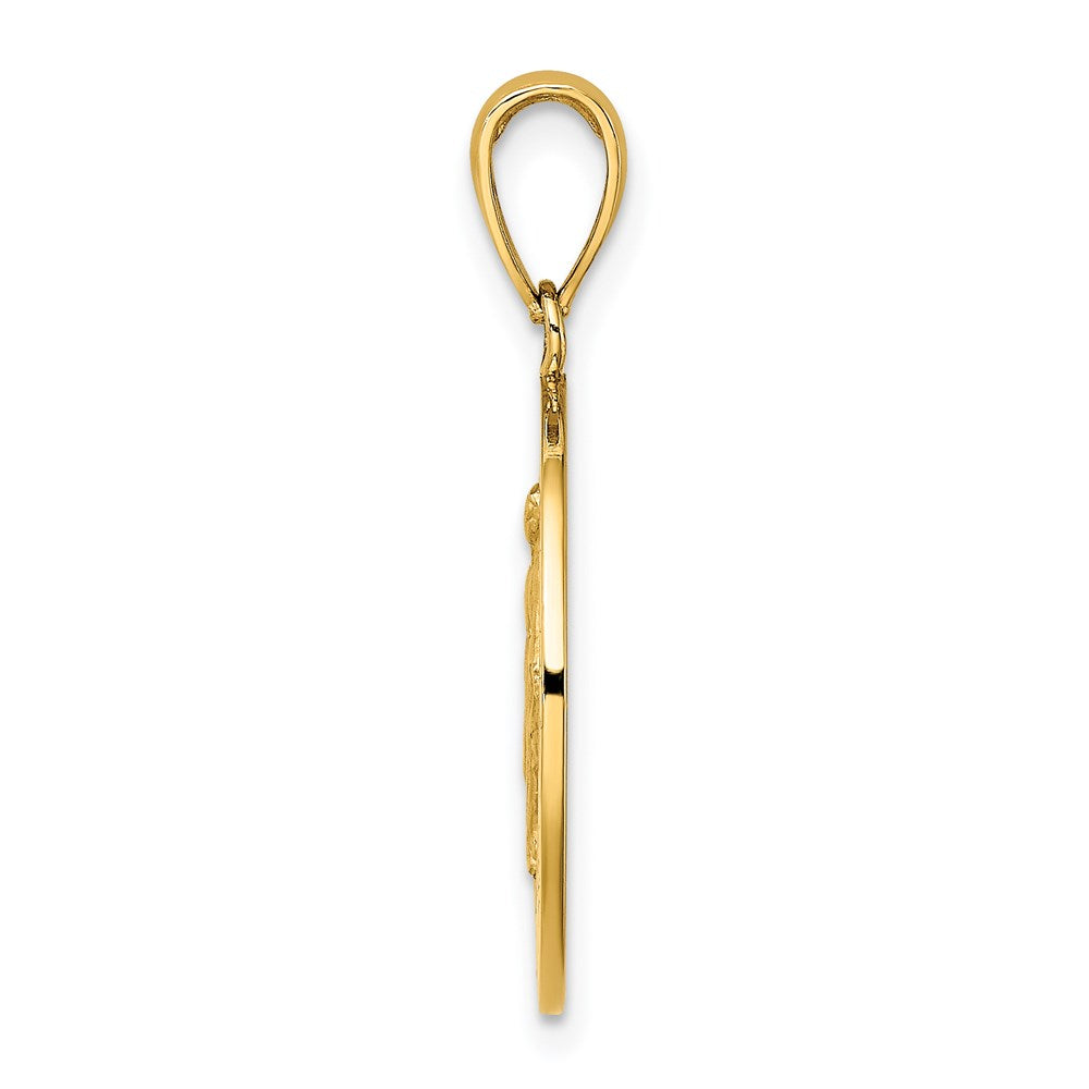 14K Polished and Satin Virgin Mary Medal Charm